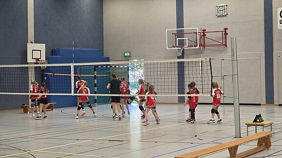 Volleyfanten in Aktion